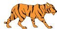 Member's Avatar