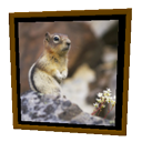 Squirrel Frame