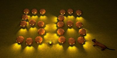 Sweet Home 3D 5.6 was released yesterday with some bug fixes. Happy Halloween!